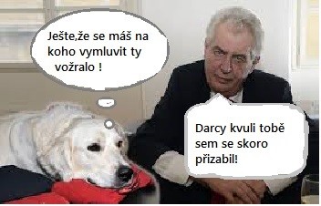 Kdyby sem uměl mluvit řeknu pravdu!